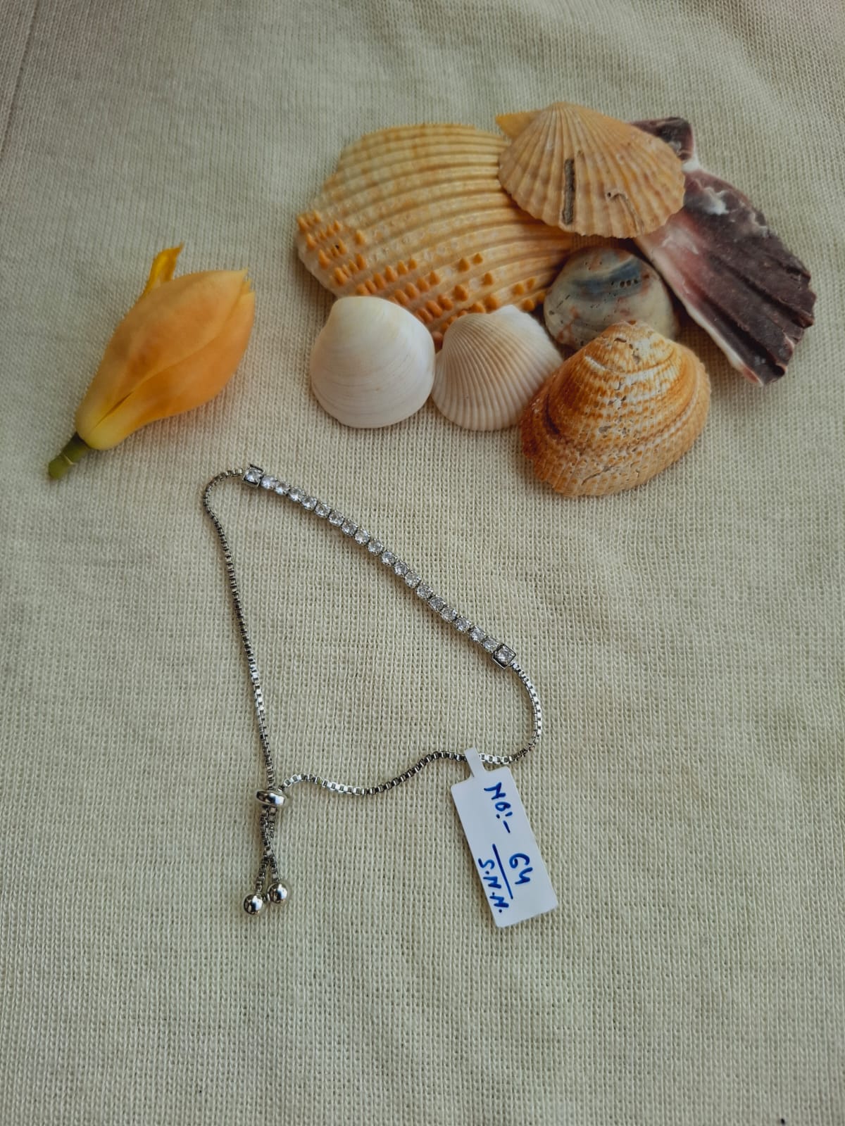 Seashell Collection with Adjustable Silver Bracelet - Showcasing an assortment of colorful seashells, this image displays a stylish, adjustable silver bracelet nestled among the natural treasures.