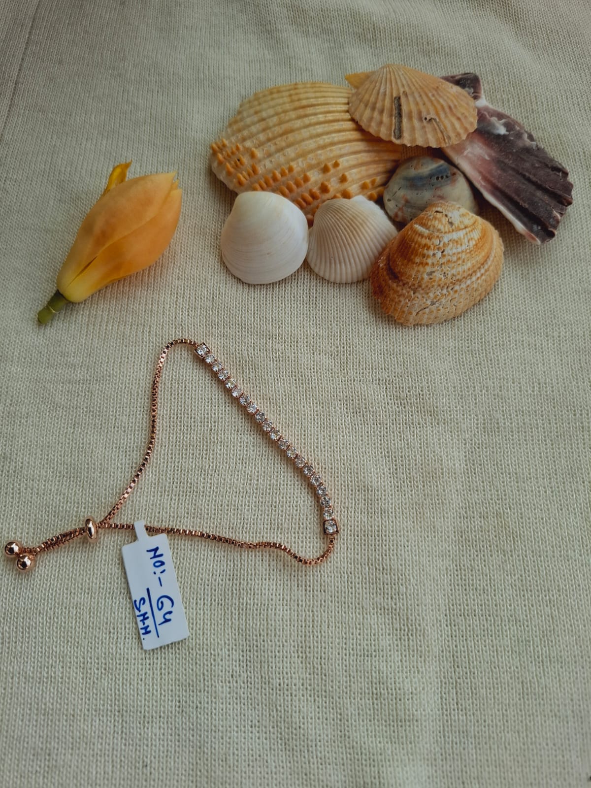 Assorted seashells and a gold-toned chain necklace on a beige fabric background.