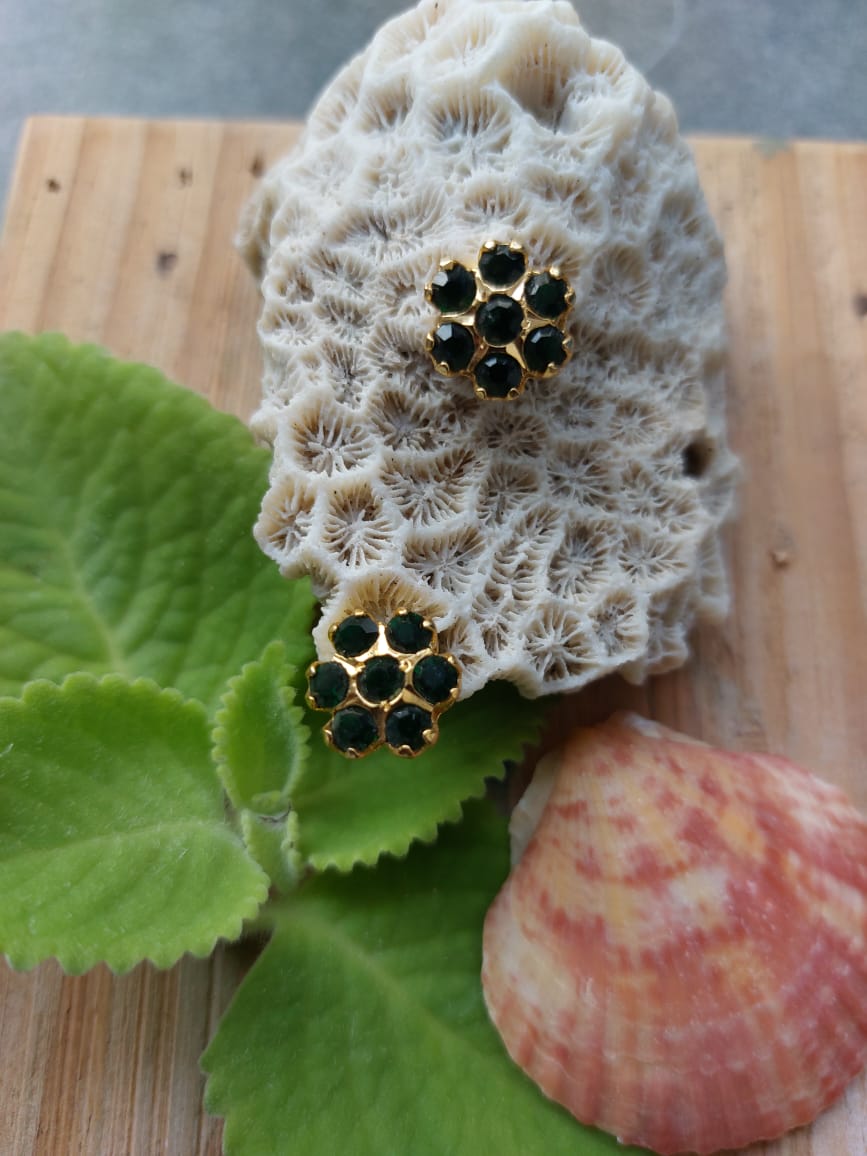 Intricate coral-like fungus, green foliage, and vibrant apple on wooden surface