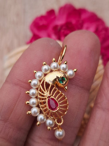 Peacock Bugdi