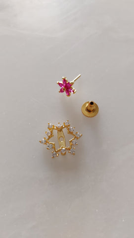Star Flower Changeable Earrings 5 in 1