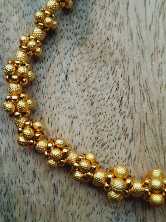 Maharani Jijamata Thushi