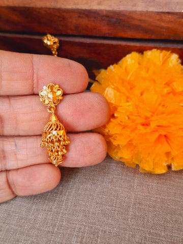 Small and Cute Golden Zhumki